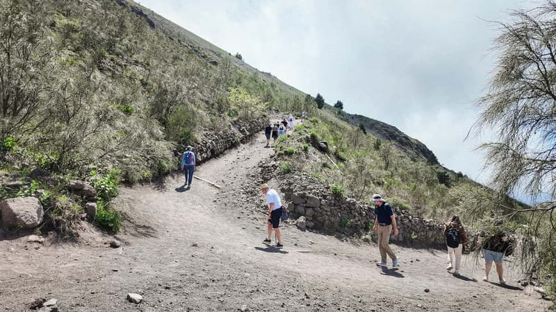 From Pompeii: Mount Vesuvius with bus, ticket and audioguide - Who should book this Vesuvius outing