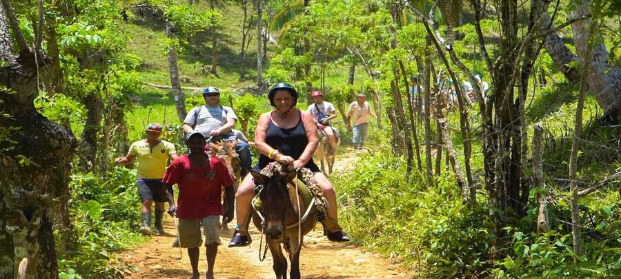 From Punta Cana: Samana Full Day Trip by Bus and Boat - One hour at the waterfall
