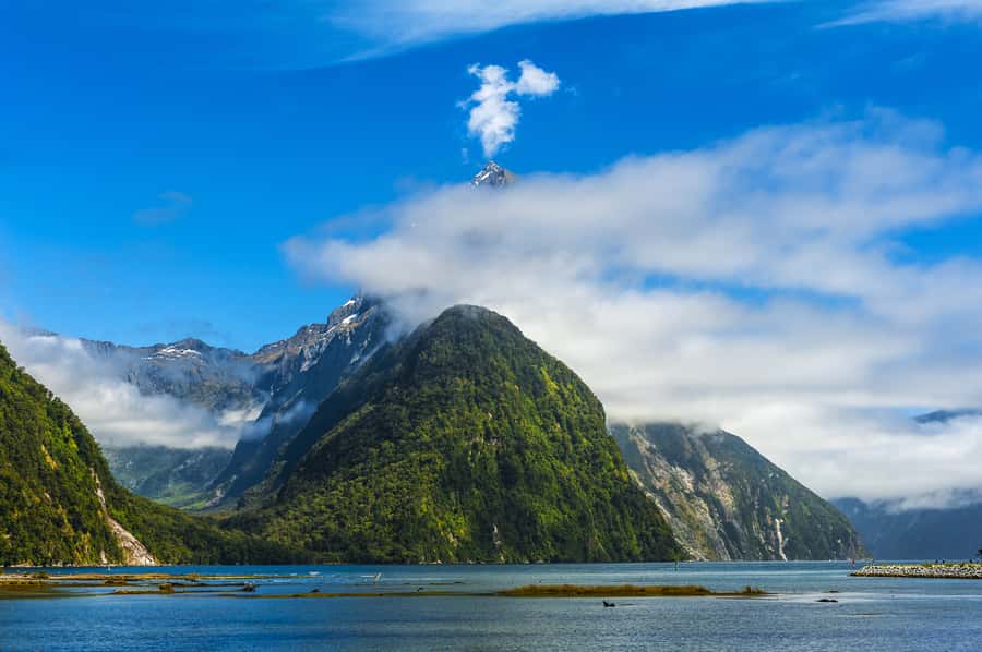 From Queenstown Milford Sound Cruise & Glass-Roof Coach Tour - Key points to know before booking