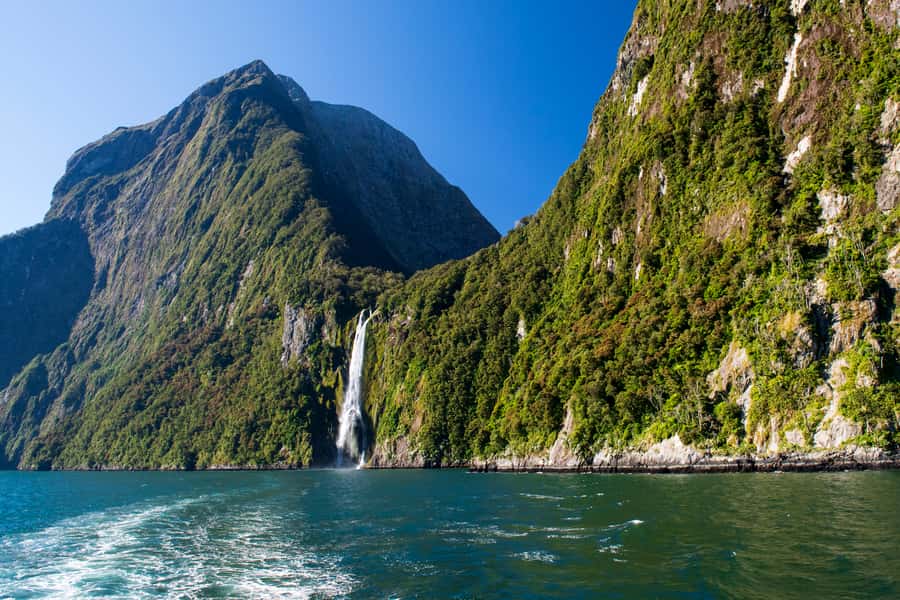 From Queenstown Milford Sound Cruise & Glass-Roof Coach Tour - What the guides add to the day