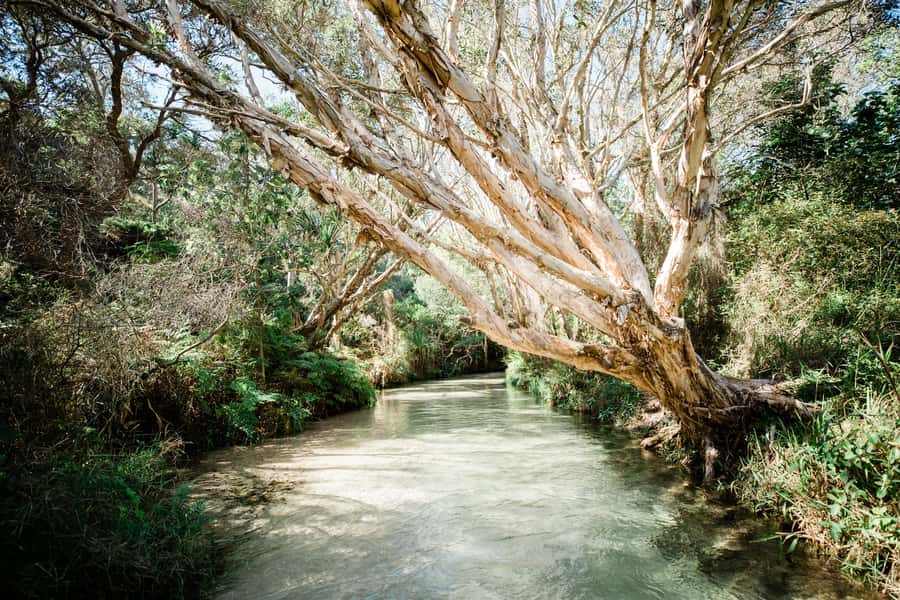 From Rainbow Beach: K'gari Fraser Island Full-Day Coach Tour - Key points at a glance