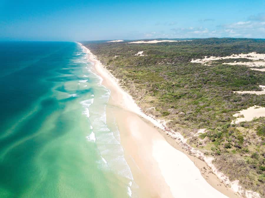 From Rainbow Beach: K'gari Fraser Island Full-Day Coach Tour - Guides, commentary, and the feel of the day