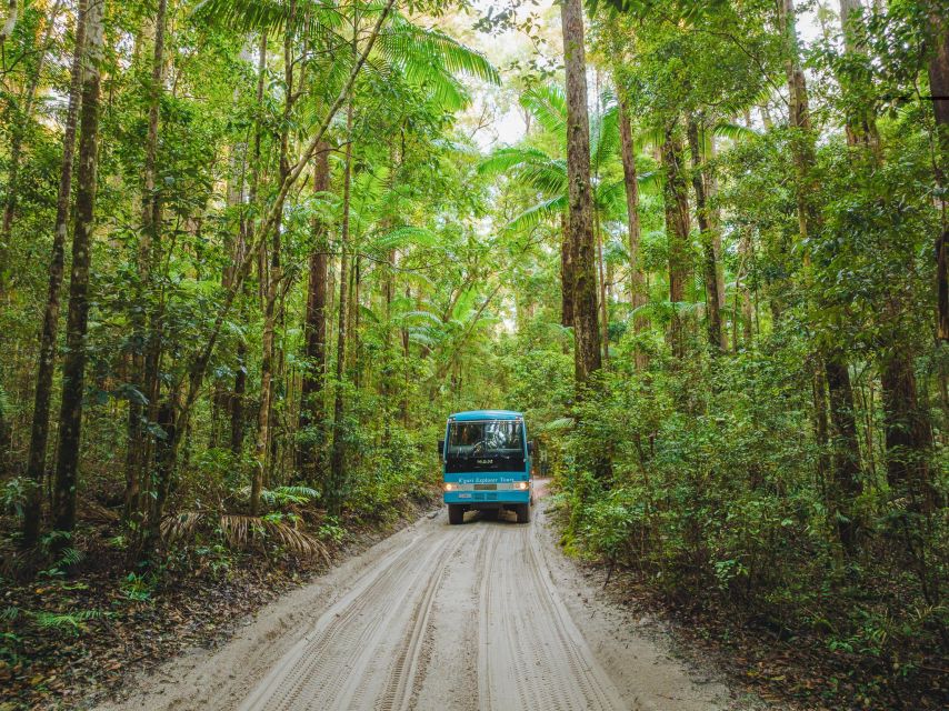 From Rainbow Beach: K'gari Fraser Island Full-Day Coach Tour - Lake McKenzie deserves your best hour