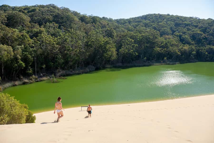 From Rainbow Beach: K'gari, Fraser Island Two-Day Coach Tour - Eli Creek offers the easiest way to slow down