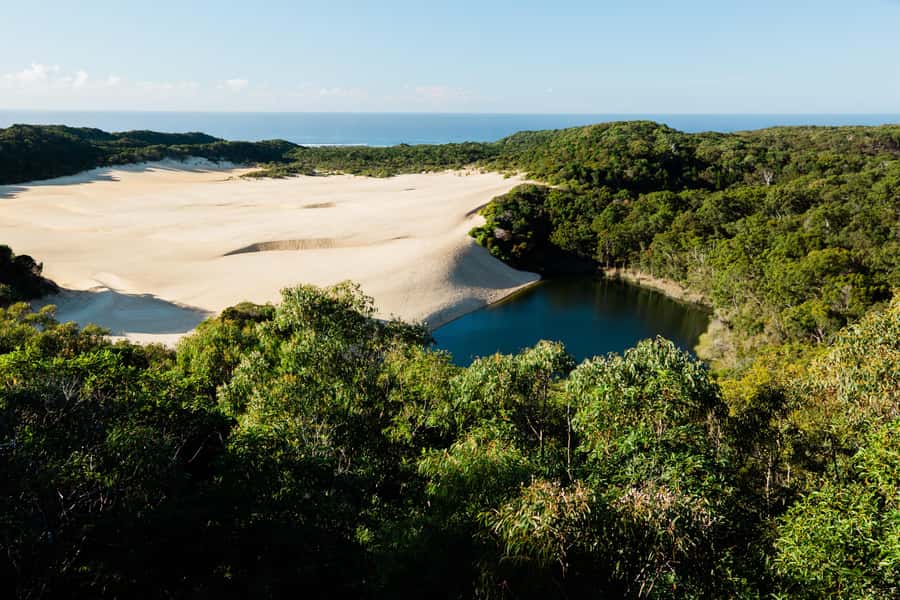 From Rainbow Beach: K'gari, Fraser Island Two-Day Coach Tour - Central Station and Pile Valley show how a forest can grow in sand