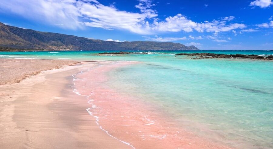 From Rethymno & Chania: Elafonisi Island Day Tour by Bus - Key points to know before booking
