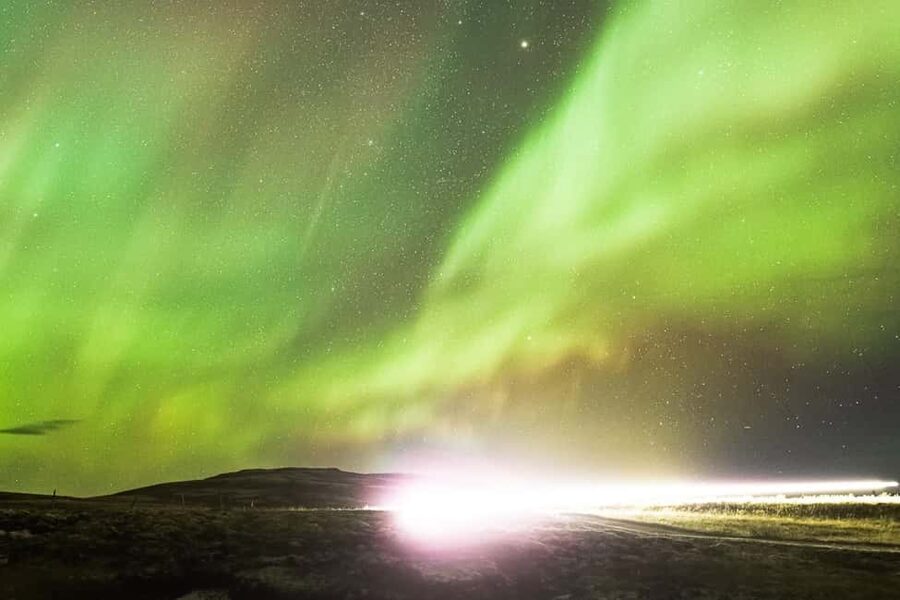 From Reykjavik: Northern Lights Bus Tour with Hot Cocoa - Is $74 a fair price?