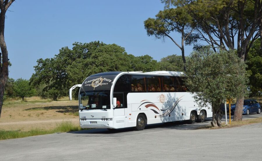From Rhodes: Bus Tour to Lindos and the Seven Springs - Seven Springs: a cool forest and a wet tunnel