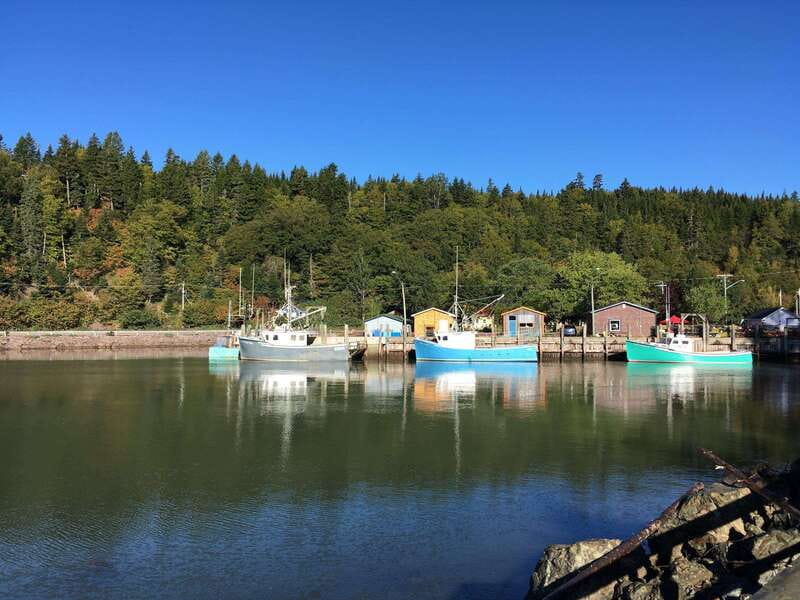 From Saint John: Bay of Fundy Bus Trip for Cruise Passengers - Key points to know before you book