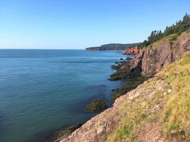 From Saint John: Bay of Fundy Bus Trip for Cruise Passengers - A six-hour shore trip from the cruise terminal