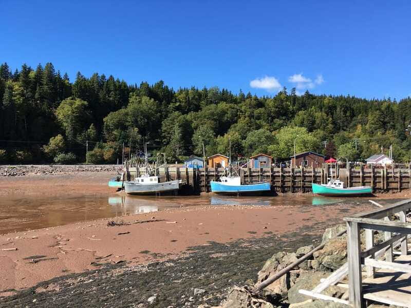From Saint John: Bay of Fundy Bus Trip for Cruise Passengers - Saint John City Market and the return to port