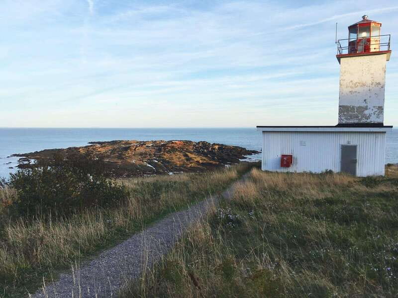 From Saint John: Bay of Fundy Bus Trip for Cruise Passengers - Who should book this Bay of Fundy tour?