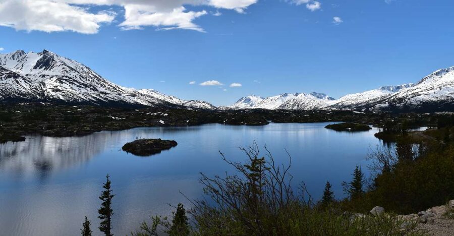 From Skagway: White Pass Summit Guided Bus Tour - Why the road beats a single scenic ride