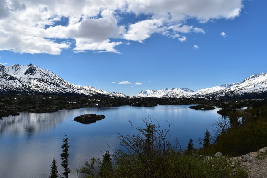 From Skagway: White Pass Summit Guided Bus Tour - Captain William Moore Bridge and the mountain road