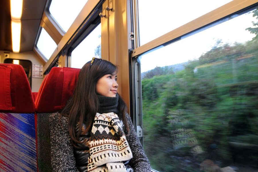 From Skagway: White Pass Summit Guided Bus Tour - How the guides shape the experience