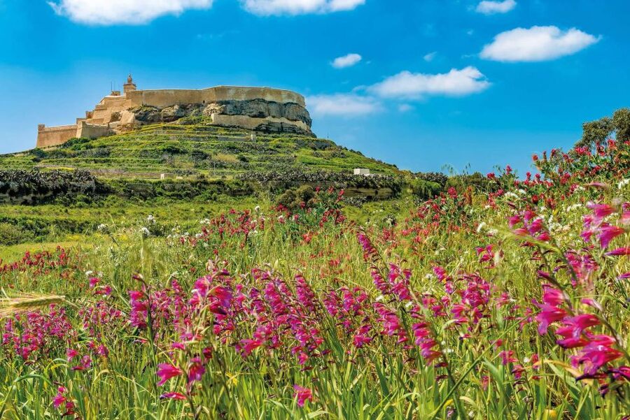 From Sliema: Gozo, Comino & The Blue Lagoon Boat & Bus Tour - Who should book this experience