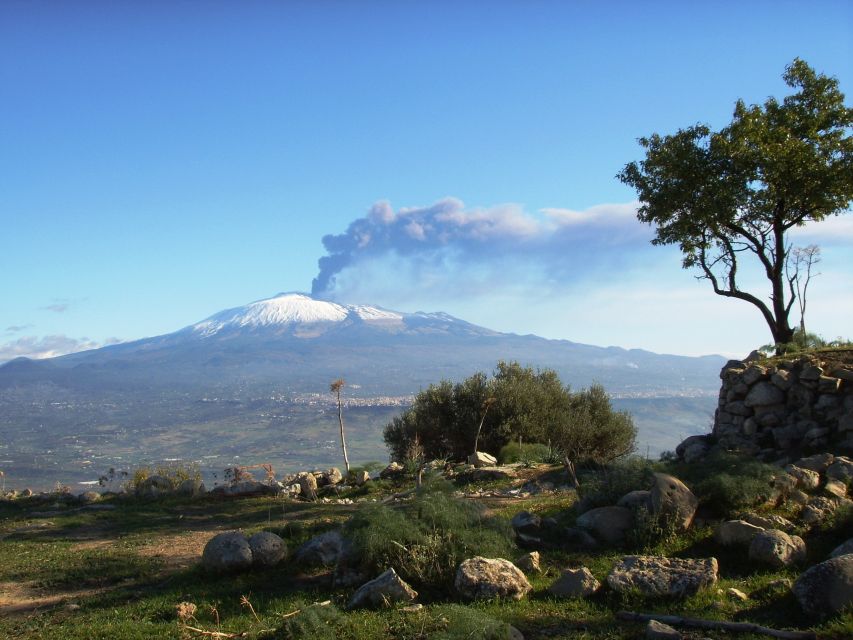 From Taormina: Mount Etna Guided Bus Tour - Should you book the Mount Etna bus tour?