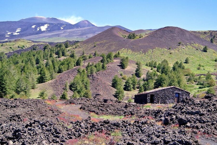 From Taormina: Mount Etna Guided Bus Tour - The optional ascent toward 2,750 meters