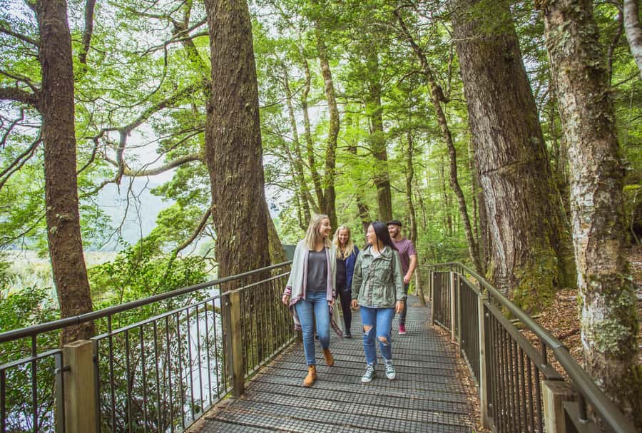 From Te Anau: Milford Sound Coach Tour and Cruise - Practical advice for a smoother day