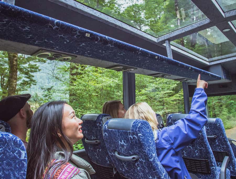 From Te Anau: Milford Sound Coach Tour and Cruise - Why starting in Te Anau makes sense