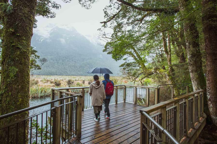 From Te Anau: Milford Sound Coach Tour and Cruise - The final approach to Milford Sound