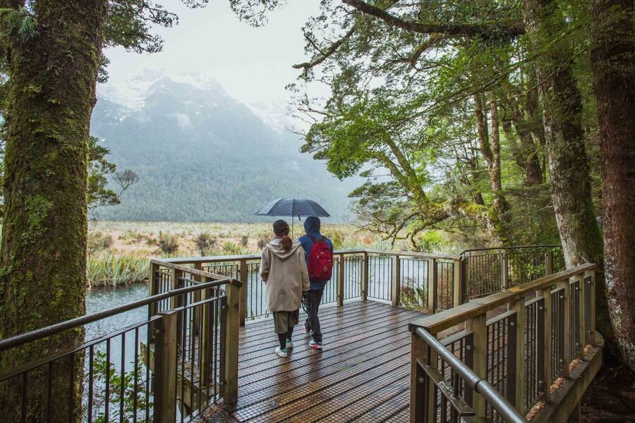 From Te Anau: Milford Sound Coach Tour and Cruise - Picnic lunch and onboard comforts
