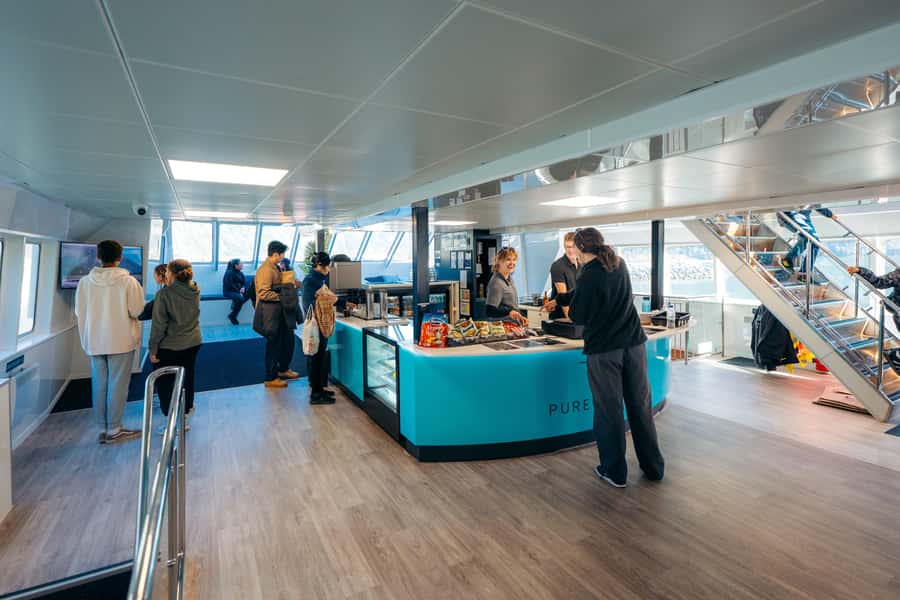 From Te Anau: Milford Sound Coach Tour and Cruise - How the $110 price works out