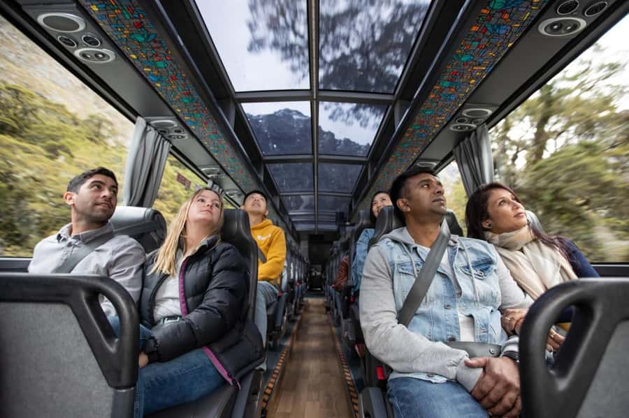 From Te Anau: Milford Sound Cruise & Glass-Roof Coach Tour - Mitre Peak, waterfalls, and wildlife