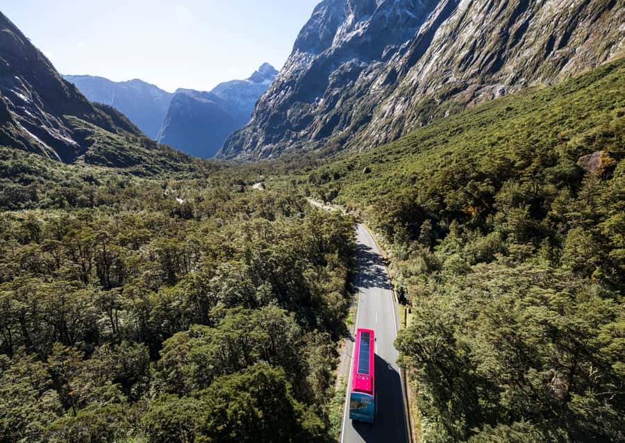 From Te Anau: Milford Sound Premium Bus Tour and Cruise - What the $140 price buys you