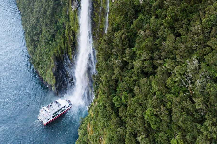 From Te Anau: Milford Sound Premium Bus Tour and Cruise - Why starting in Te Anau makes such good sense