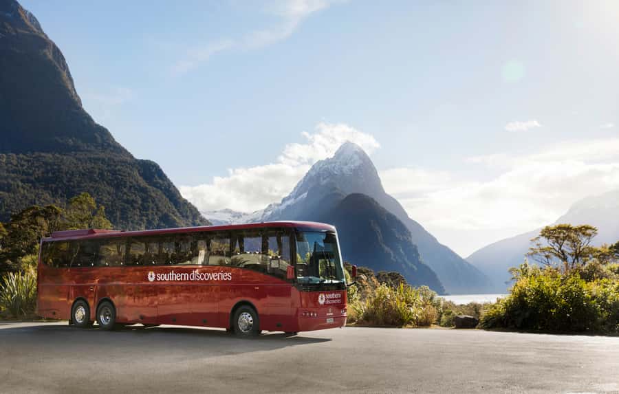 From Te Anau: Milford Sound Premium Bus Tour and Cruise - Mirror Lakes is brief but worth the pause