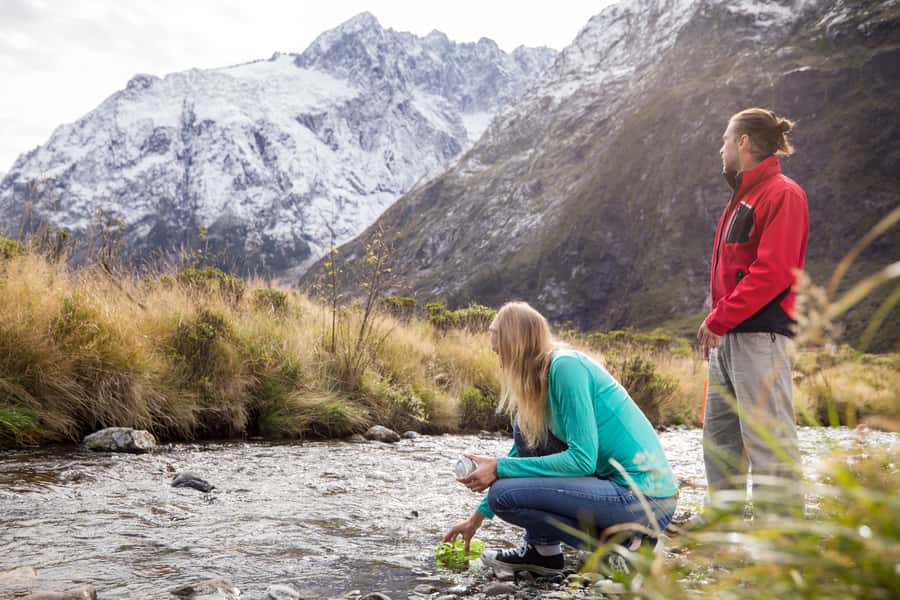 From Te Anau: Milford Sound Premium Bus Tour and Cruise - Wildlife sightings are a bonus, not the main promise