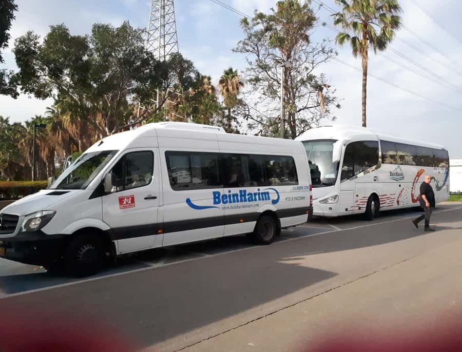 From Tel Aviv: Jerusalem Old & New City Bus Tour - Price, pace, and the value of the day