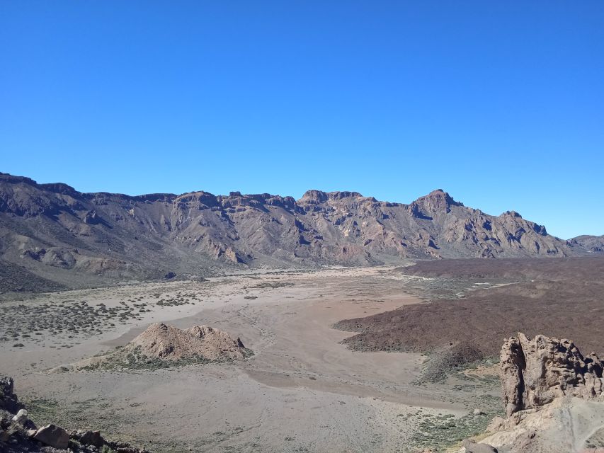 From Tenerife: Teide National Park Guided Day Trip by Bus - Plants, animals, and details you could miss