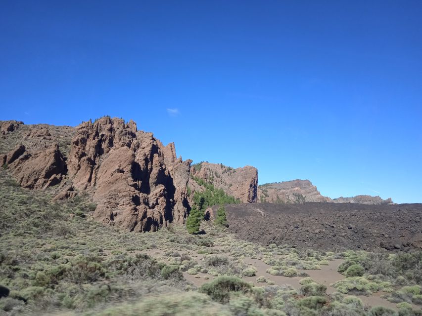 From Tenerife: Teide National Park Guided Day Trip by Bus - Is $39 good value?