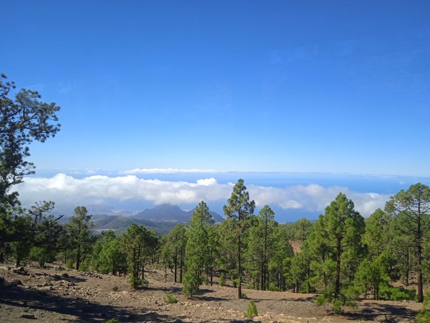 From Tenerife: Teide National Park Guided Day Trip by Bus - Mount Teide and the high volcanic views