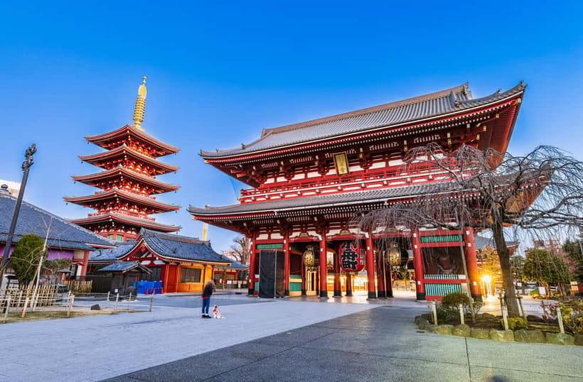 From Tokyo: Kamakura, Great Buddha, and Enoshima Bus Tour - Lunch and time to explore