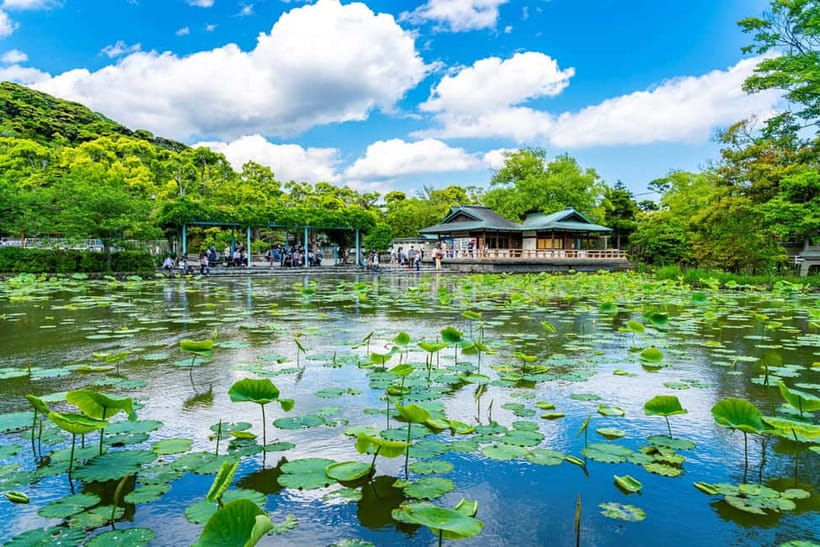 From Tokyo: Kamakura, Great Buddha, and Enoshima Bus Tour - Asakusa, Sensoji, and Nakamise-dori