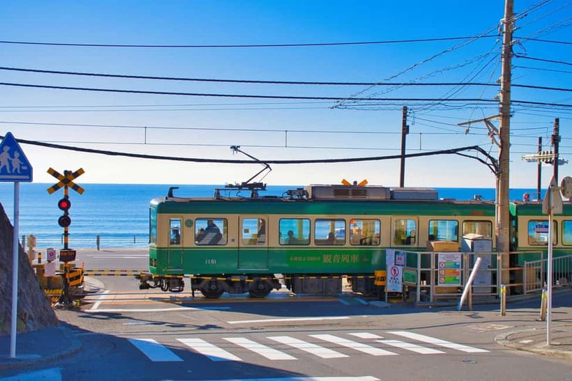 From Tokyo: Kamakura, Great Buddha, and Enoshima Bus Tour - Meeting in Shinjuku at 7:30