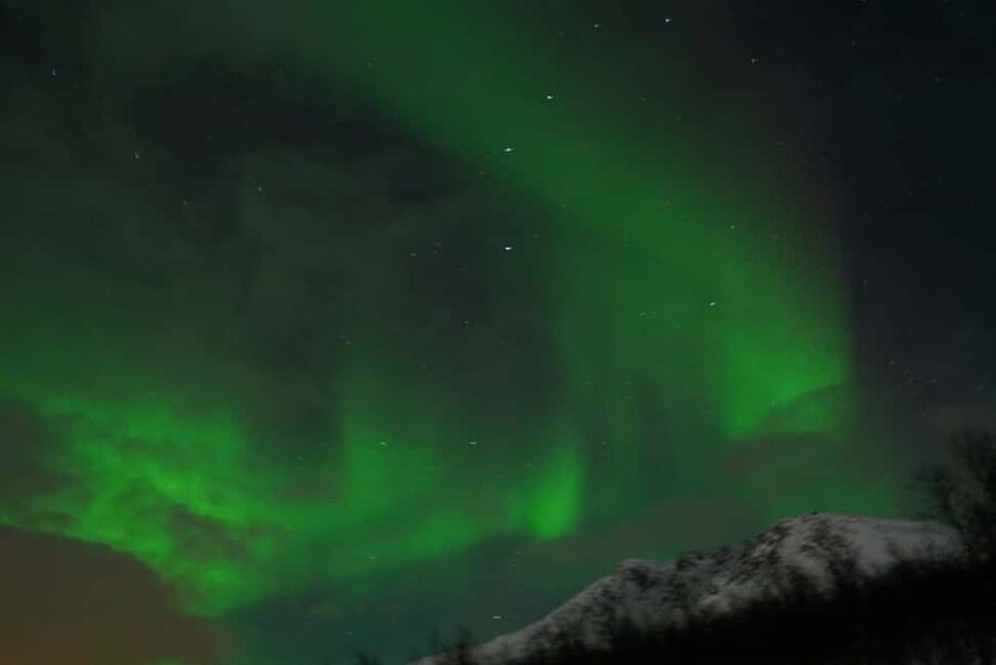 From Tromsø: Aurora Bus Tour with Snacks, Photos, and Drinks - Meeting the coach at Fr. Nansen Plass