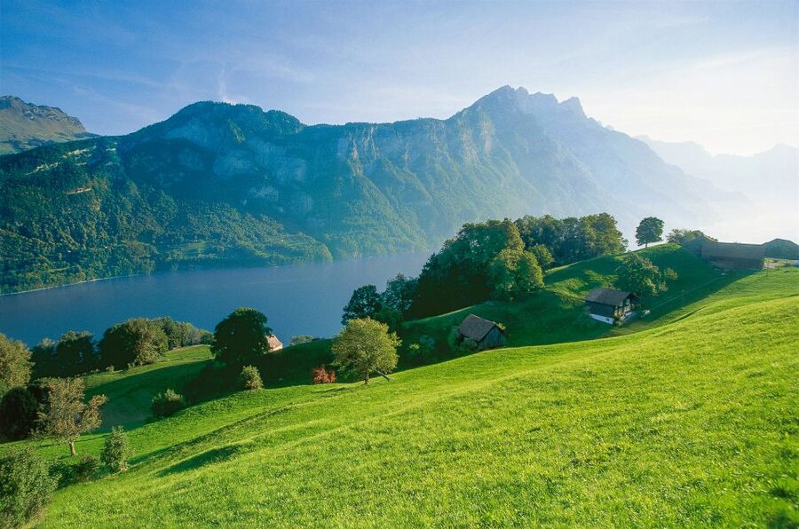 From Zurich: Bus Day Trip to Heidiland and Liechtenstein - Why this day trip works from Zurich