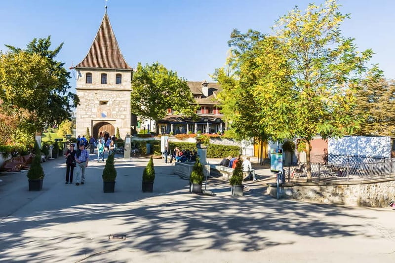 From Zurich: Rhine Falls Coach Tour with Entry Tickets - Practical tips for a better visit