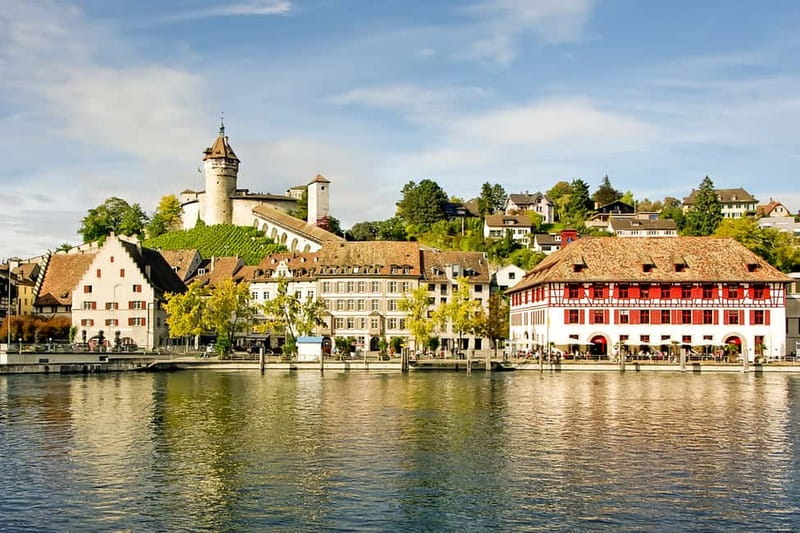From Zurich: Rhine Falls Coach Tour with Entry Tickets - Why this half-day trip works from Zurich