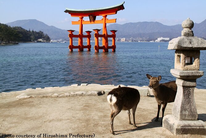 Full Day Hiroshima and Miyajima Bus Tour from Hiroshima - Timing, meeting point, and practical planning