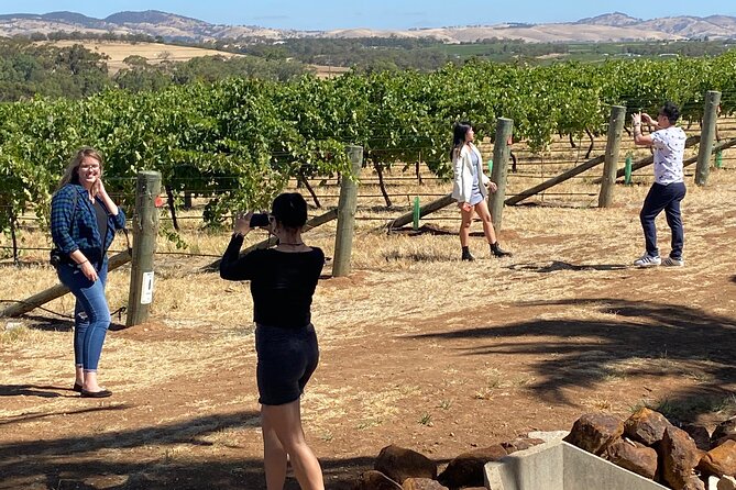 Full-Day Private Barossa Valley Wine Bus Tour - Who should book, and who should think twice