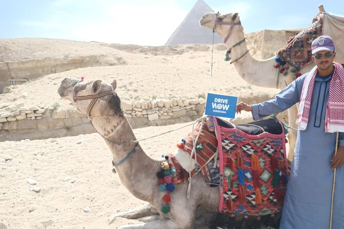 Full day to Cairo from Hurghada by Bus (all inclusive) - Lunch near the Giza Pyramids
