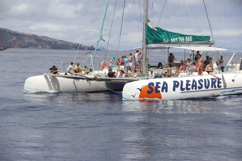 Funchal:Hop-on Hop-off Bus & Whale & Dolphin boat Excursion - Seeing Funchal from three metres up