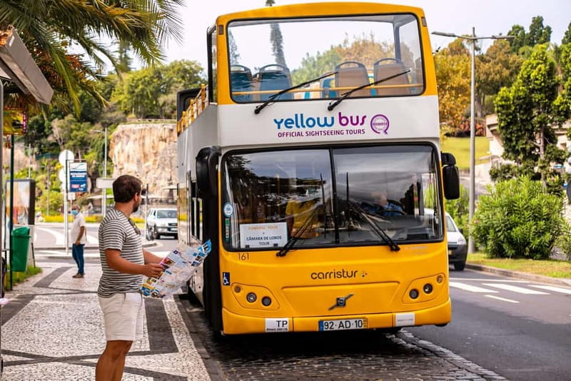 Funchal:Hop-on Hop-off Bus & Whale & Dolphin boat Excursion - The central Funchal stops worth your time