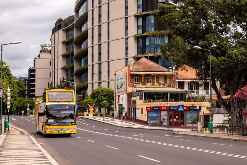 Funchal:Hop-on Hop-off Bus & Whale & Dolphin boat Excursion - Wildlife sightings need realistic expectations