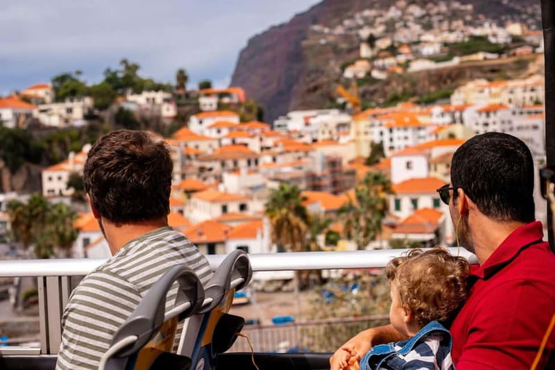 Funchal:Hop-on Hop-off Bus & Whale & Dolphin boat Excursion - Viewpoints, gardens, and the western hotel zone